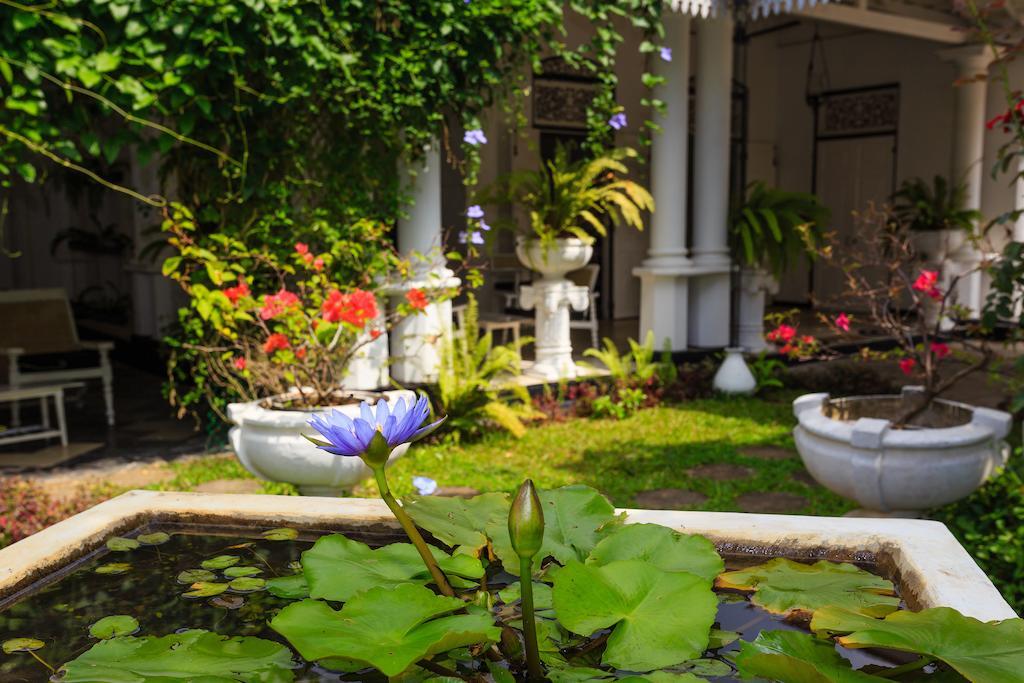 Villa Blanco مافونت لافينيا المظهر الخارجي الصورة
