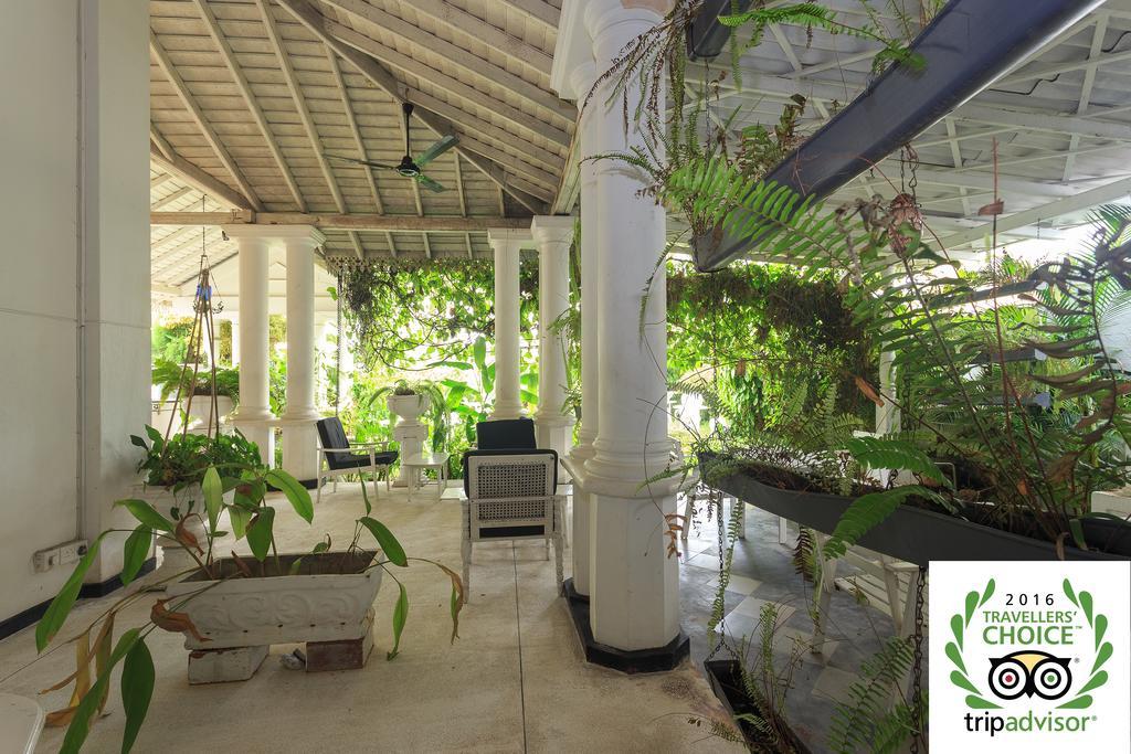 Villa Blanco مافونت لافينيا المظهر الخارجي الصورة