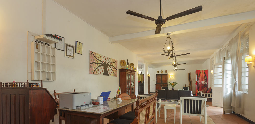 Villa Blanco مافونت لافينيا المظهر الخارجي الصورة