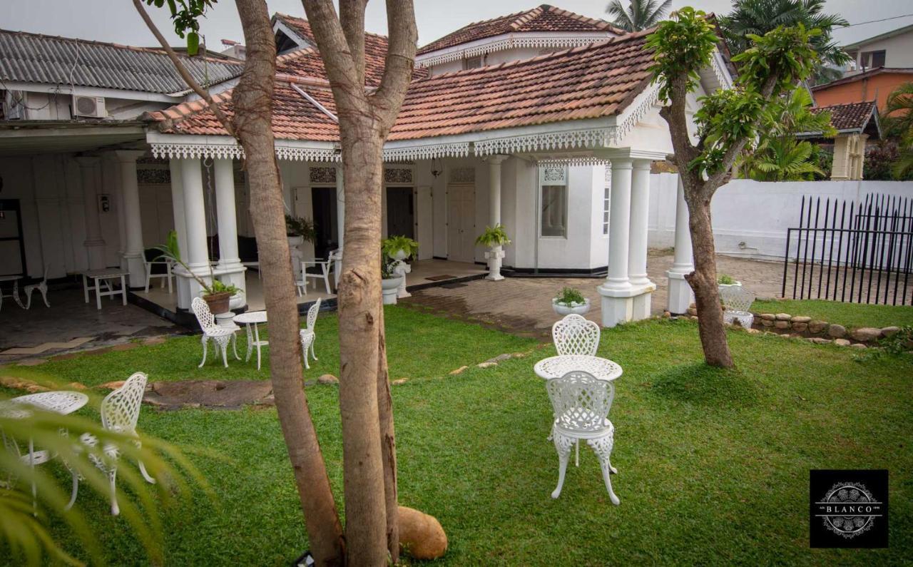 Villa Blanco مافونت لافينيا المظهر الخارجي الصورة